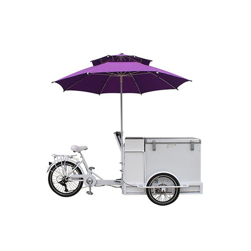 Electric Ice Cream Serving Tricycle